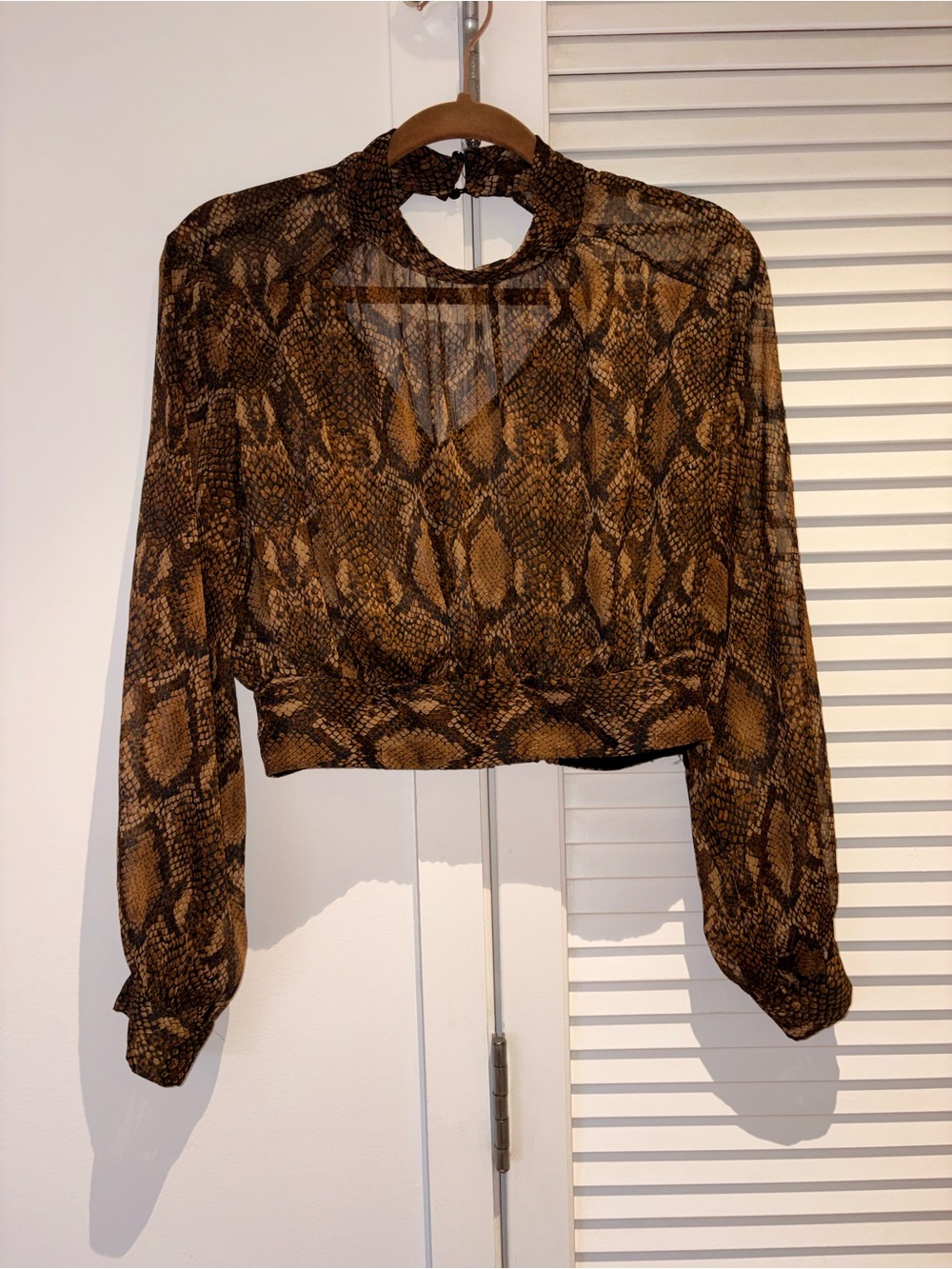 Zara Snake Print Long-Sleeve Crop Top - Brown